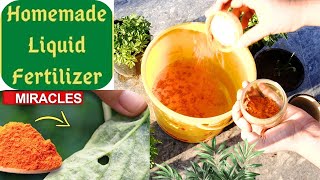 How to make Home Made Liquid Fertilizer | Easy Gardening Tips