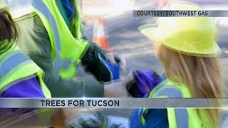 Dozens of shades trees planted in South Tucson over the weekend