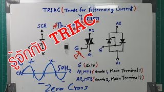 ElecTech #020: TRIAC (Triode for Alternating Current) ไตรแอค