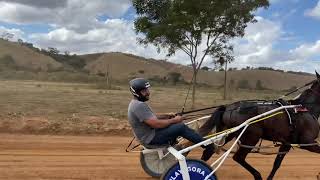 1º Páreo - 1- Pratinha 2.46.23 2- Lenda 3.07