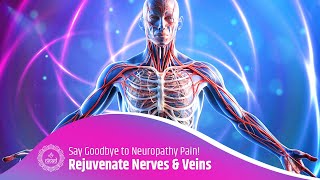 Rejuvenate Your Body’s Nerves & Veins: Boost Blood Flow & Say Goodbye to Neuropathy Pain! 741Hz