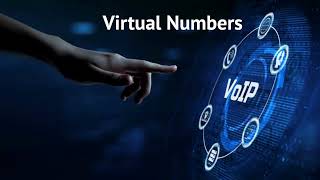 The Definitive Guide to Toll-Free Virtual Numbers