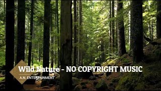 Backsound No Copyright - A.N Entertainment | Wild Nature