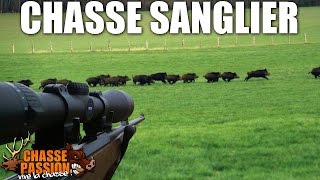 Chasse au sanglier - Compilation saison 2013/2014