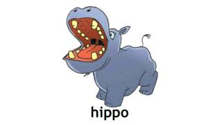 How to Pronounce Hippo in British English