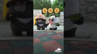 Chinese panda, panda video, cute panda, 2021