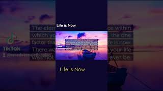 Life Is Now #eckharttolle #powerofnow #shorts #shortvideos