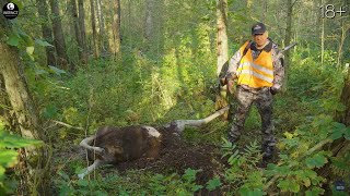 Три дня на охоты и релакса на шикарной "Валдайской усадьбе"