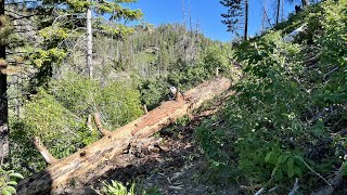 Brushing Trail