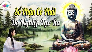 Nghe Phật Dạy, Số Phận Có Phải Do Nghiệp Tạo Ra - Audio Thanh Tịnh Tâm