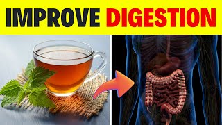 🍵Best Herbal Teas for Digestion🌿