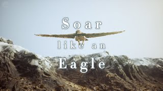 Soar like an Eagle : Music Makes Mind Haven