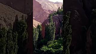 beautiful nature🇹🇯🏔️#tadjikistan#travel #nature #mountains #youtubeshorts #shortvideo