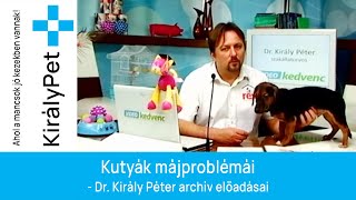 Kutyák májproblémái