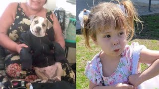 "Playful" family Pit bull fatally mauls 4-year-old girl in backyard