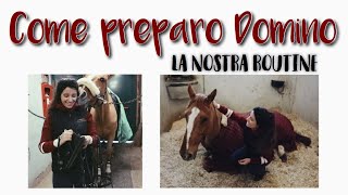 Come preparo il mio cavallo | Routine | Pernilla Iperti