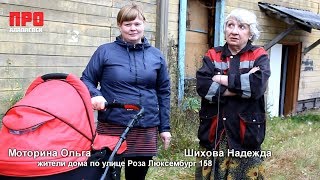 Розы Люксембург 158