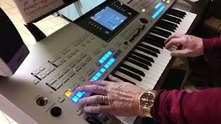 Cesera  -  This is my first song played on Yamaha Tyros 4