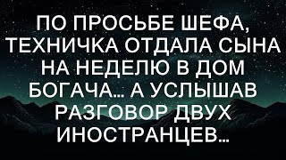 По просьбе шефа, техничка отдала сына на неделю в дом богача, чтобы помочь с уборкой и присмотром