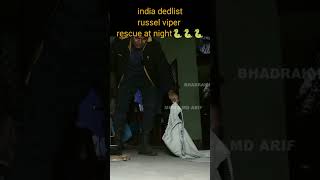 india delist russelviper rescue at night #viral #koraput #yearofyou #snakerescue