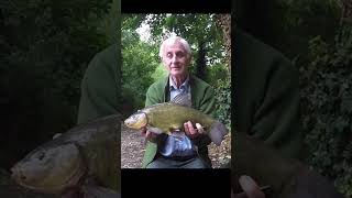 Some of my best Tench in 2024 #tench #fishing