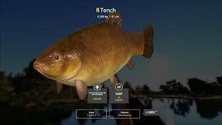 Russian Fishing 4 - Amber Lake, Active Spot + Tench Trophy