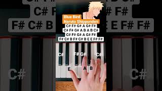 Blue Bird Naruto Shippunden Piano Tutorial #piano #shorts #pianotutorial