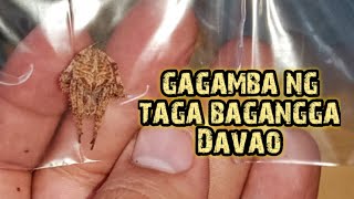 Sample ng mga G na pinapadala natin ngayon,Davao,manila,iloilo