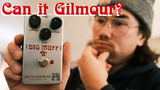 Electro-Harmonix Ram's Head Big Muff Pi Guitar Solo | Zach Jam #10