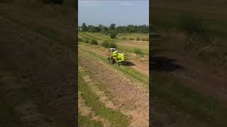 Golden Wheat Fields Meet Claas Consul’s Vintage Charm 🌾