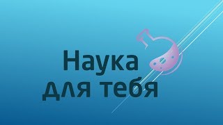 Демонстрация системы тестирования для вебинаров