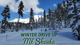 Winter Drive up Mt Shasta #shasta #cascades