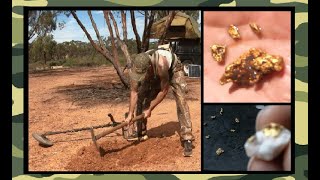 Massive Gold Nugget Inglewood (Day 2) Chef Pete joins the one Ounce club. (Episode 130)