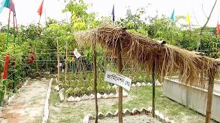 Largest Tree Fair | Dhaka Bangladesh | Brikkho Mela