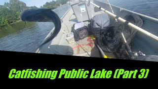 Public Lake Catfishing  (Day 3) #catfishing   #noodles   #jugging