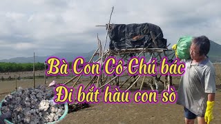 Cuộc sống Đời thường Của Bà Con Cô Chú bác - đi bắt Con hàu con sò xúc nghêu #cuocsongvietnam