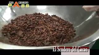 SENDERO DEL CACAO