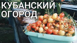 Кубанский огород/Май 2019