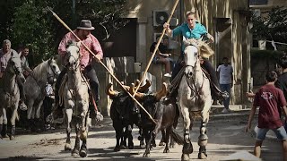 ROGNONAS FERIA DES CHARETIERS 16-17.09.23 🐂