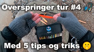 Overspringer tur #4 🎣 5 tips til turen 🤫 Havørred Fiskeri 🐟