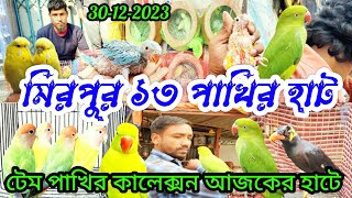 মিরপুর ১৩ নাম্বার পাখির হাটে কিকি রয়েছে | মিরপুর হাটে কথা বলা সব পাখি | পাখির দর দাম জানুন | pakhi 🐦