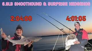 Sting Ray & Smoothound Fishing Live | Warsash