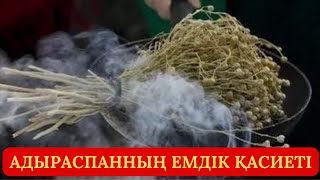 Адыраспанның емдік және магиялық қасиеті