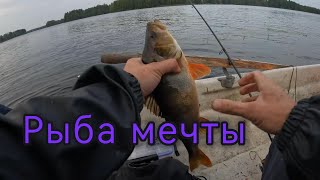 Рыба мечты. Окунь, щука, язь. Личный рекорд.