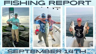 New Jersey Fishing Report September 14th #fishingreport #surffishing