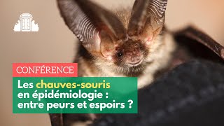 « Les chauves-souris en épidémiologie : entre peurs et espoirs » par François Moutou | ENS-PSL