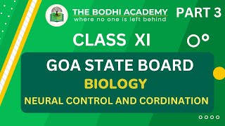 GOA BOARD || CLASS 11 || NEURAL CONTROL AND COORDINATION || PART  3