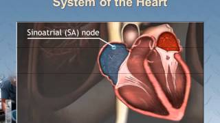 EMS 241- Paramedic Cardiology AP