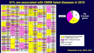 Direct Collaborations Between Model Organism Researchers and Clinicians