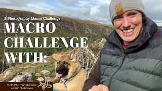 Small Macro World 2 | Photography challenge with a German Shepherd Puppy | Elan Valley Woodland